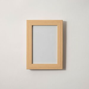 FRAME SHIROYAMA 275 z GAt[  t[ Vv  CeA |X^[ ʐ^ G pl z i` ͂