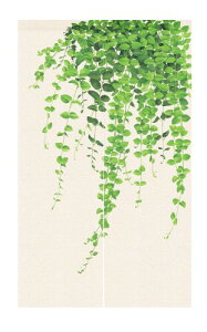 ̂ g Ԏd؂J[e  ډB ɂ    ze L C ʏ gC I[_[ hAJ[e Lb` rO HX o |gX 8515