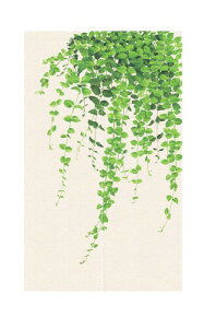 ̂ g Ԏd؂J[e  ډB ɂ    ze L C ʏ gC I[_[ hAJ[e Lb` rO HX o |gX 7512