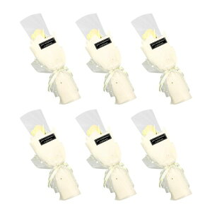 DIFEIUKI \[vt[ 1 o  6{Zbg ͂Ȃ [Y ʕ Ό o^C ̓ a ސE Mtg hV̓ Ǝ w p[eB[ v`Mtg ʕς