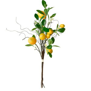 Hnonoxy   }  ϗtA    CeA ԕr e[u ItBX JtF t@[nEX  v[g ʐ^Bep z[fR[V