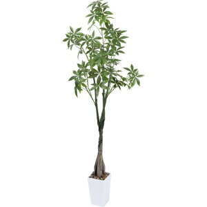 tFCNO[ lHϗtA ϗt  pL 138cm K̖ G} C bȂ  z[  ItBX CeA 