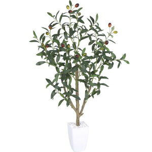 lHϗtA tFCNO[ I[u  90CM G} L R  lHA ϗt CeAO[  ItBX  