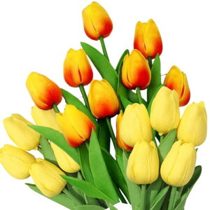 morytrade `[bv  20{Zbg {ŉ؂₩ CeA Mtg ԑ (CG[n)