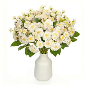 Villa Como  ԑ o 3  ~ ԑ A[gt[ CeA NX}X v[g ̓ hV̓ Vzj JXj Be ()