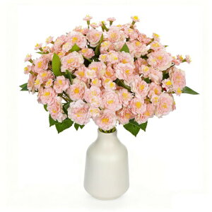 Villa Como  ԑ o 3  ~ ԑ A[gt[ CeA NX}X v[g ̓ hV̓ Vzj JXj Be (sN)