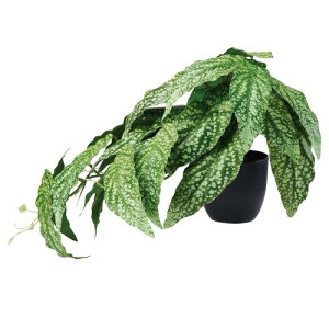 asca CeAO[ |bgt  A[eBtBV ϗtA tFCNO[ e[uTCY A-51103 (xSjA)