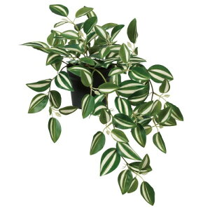 asca CeAO[ |bgt  A[eBtBV ϗtA tFCNO[ e[uTCY A-51092 (_OW[)