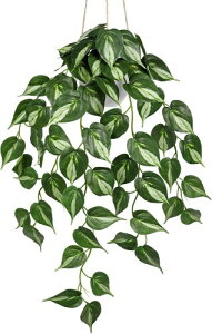 Villa Como tFCNO[ CeAO[ |bgt |gX A  V nMO ݂艺 Ǌ| lHϗtA  킢 (|gX, ݂蔫)