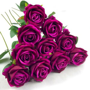 DECEED  o [Y KN 10{Zbg ԑ o^Cf[ u[P ̓  a Ԍa7cm×50cmi[Ybhj