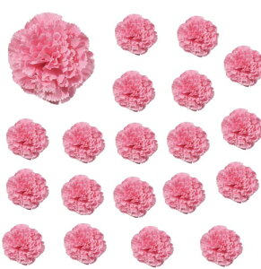 siawadeky J[l[V  Ԃ̂ 20Zbg Ԃт lH ԓ VN tFCNt[ ͂Ȃ ԗ wAANZT[ DIY ̓ EGfBO p[eB[p nhC