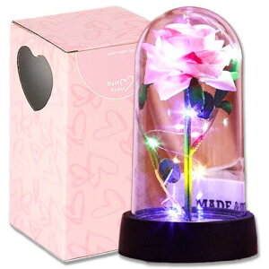 Fame Project o  t[h[ ͂Ȃ ̓ v[g ʓ/sN