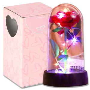 Fame Project o  t[h[ ͂Ȃ ̓ v[g ʓ/