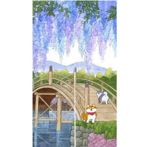 ̂ g  tNE X^[tBbV L  Ђ܂ Ԏd؂J[e ډB ɂ _炩     ze L C ʏ gChA Lb`