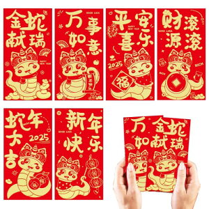 PAVIKE ֊x̐ԂNʑ  |` N N ̐Ԃ Nʑ 2025 ւ K^obO  jV 2025N ړIjV D Nۂ tՂ N 