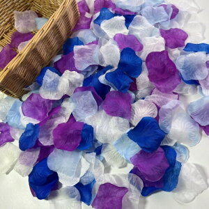 hiRoca t[V[ 2400  Ԃт j  p[eB[ o v|[Y TvCY zCg Ԑ Be EGfBO