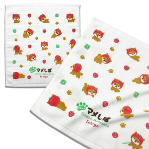 } nh^I 2Zbg ɂ₳ 炩 ^I 100 { 킢 LN^[ Č  (o[W)