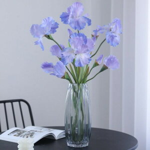 DIFEIUKI  ACX Ԃ傤 2{Zbg  Ƃ߉Ԃ傤 A^b` lHACXt[ { A ͂Ȃ A[gt[ e[uZ^[s[X