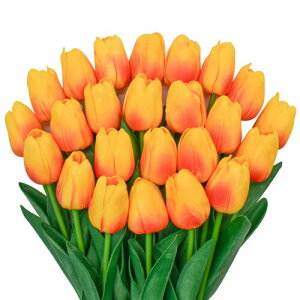 Bacucine  `[bv ͂Ȃ ԑ zCg 24{ pu A[eBtBVt[ CeA t̉ tFCN t[  iX e[u ̓ ؂Ȑl 