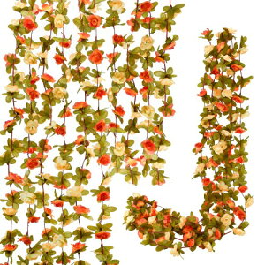 Bacucine o K[h   ݂邷 lHϗtA ̉ Ǌ| 8{ 48։ VN t  tFCNt[ 2.4m [Y KN CeA EH[t[  ͂Ȃ 