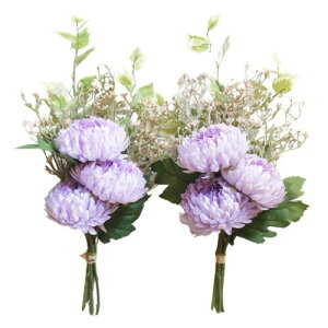  [Y p ӂ}  e    2 42cm MEMORIES PREMIUM  dp  ͂Ȃ ~ ފ A { ͂Ȃ  