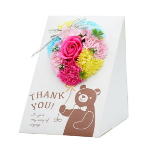 N}o[V{ \[vt[ AWg o J[l[V D Mtg 17×16×21cm (Jt)