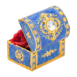 (foG) rap-jb WG[{bNX av[g  lC ޏ    蕨 Mtg RpNg WG[[ Δ WG[P[X ANZT[{bNX  