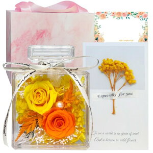 vU[uht[ v[g  a uU[ht[ ސEj ͂Ȃ AWg 2ւKN {g t[Mtg hV̓ LO ̓ zCgf[