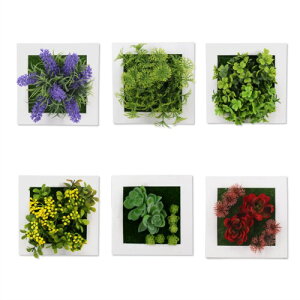 BGL EH[O[ 6Zbg tFCNO[ Ǌ| Hsv Ǌ| 