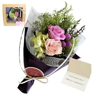 t[rW vU[uht[ i`[Yu[P XbO(bZ[WJ[ht/2Way) ([usN, ̓J[h)