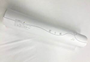 ςD ECON 5m  ʂnp̐D@ŐDhr[ (Is) It @ Ăʂ ekOC  37cm 炵