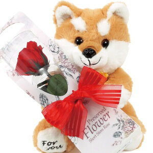 リリスエピス プリザーブドフラワー 2025 柴犬 ぬいぐるみ 一輪の薔薇 プレゼント お祝い 記念日 誕生日 ギフト (ルージュベルベット)