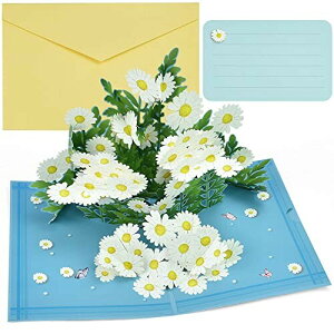 SIYINGSAERY 3D|bvAbvJ[h fCW[ t ̔яoO[eBOJ[h ̓/̓/a/p bZ[WJ[ht 17.5×12.5cm dグ ȏjJ[h