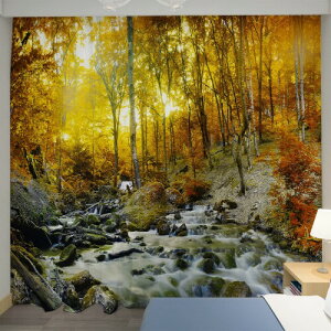 U-SITU J[e J ͋C ՌJ[e fM h UVJbg CeA |o Ⴂ  J  X  ډB ͋C] iTCYF170cm x 100cmi2gjj