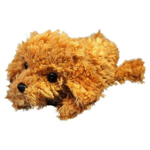 Aj}h ʂ Aj} yP[X Ck (v[h BR)