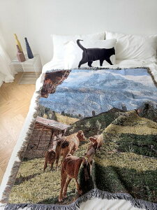 Dŕ\ AvX Alps uPbg,}`Jo[ C iCǂɊ|ăCeA C xbhJo[130X160cm