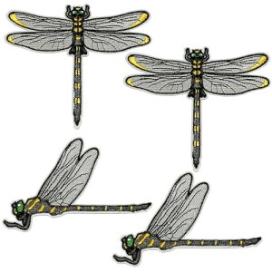 Le pumo Ij} by AC  A  g{hJ hJby ACby by ̑