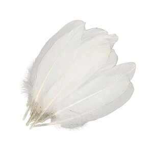 GOODCHI HV[ K`ẺH tFU[ DIY a  p[eB[ Xq obO h[Lb`[ ANZT[ |ޗ H 50 15`20cm (50)