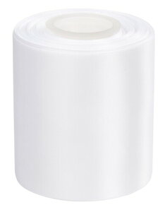 10.16cm _utFCX Te{ 25[h (029-zCg)A{Ap[eB[AٖDAEFfBONtgpZbg