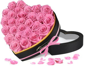 vU[uht[ 27 sN ͂Ȃ{KN Ԕ 肠  lC  j ̓ LO  a v[g v|[Y