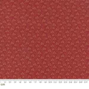 moda French General 13690-12 ԕ Petite Prints t`AeB[N fabric Rbg t@ubN nhCh V[`O z n |p  cotton { Jbgς bh (n110cm×50cm)