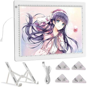 g[XA4 PxLEDCg{bNX 8000Lux Čy 3iK/iKCge[u Type-Cd g[VO CXg/}/XPb`/z݌v/|pƂȂǂɍœK