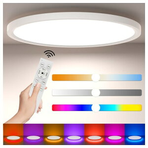 Antree LEDV[OCg 10 36W 4800lm F ԐڌRGBJ[  ɔ^ VƖ ͋CiCgCg dC u Rt Av Ceiling Light 8 10 a/Q/