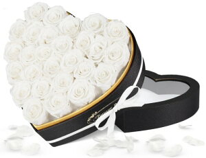 vU[uht[ 27  ͂Ȃ{KN Ԕ 肠 hV̓ ̓  lC  j LO a v[g