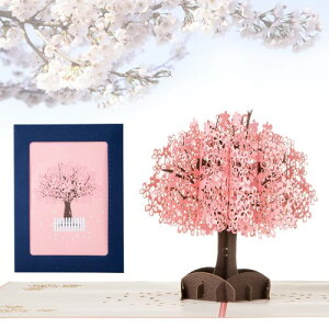 Kesote bZ[WJ[h  ̃J[h |bvAbvJ[h o^C    t