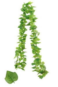 Tierneys tFCNO[ K[h tFCN[t CeA lHϗtA Ǌ| ݂艺  O x_ K[fjO (1, , 2m jc)