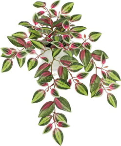 Villa Como tFCNO[ CeA O[ lHϗtA  A  GAvc Vzj JXj VN NX}X ItBX X  (ȎIisNj)