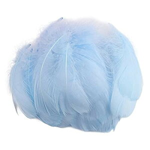 TRX HV[ H H Ղ tFU[V[ DIY |ޗ tFU[ Cxg EFfBO p[eB[ o a (200CCgu[)