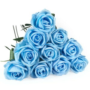 DECEED  o [Y KN 10{Zbg ԑ o^Cf[ u[P ̓  a Ԍa7cm×50cmiCgu[j