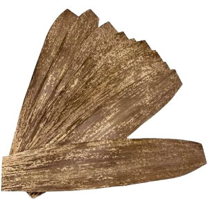 VR | V[g 10Zbg  52cm ɂ ܂Ȃǂ